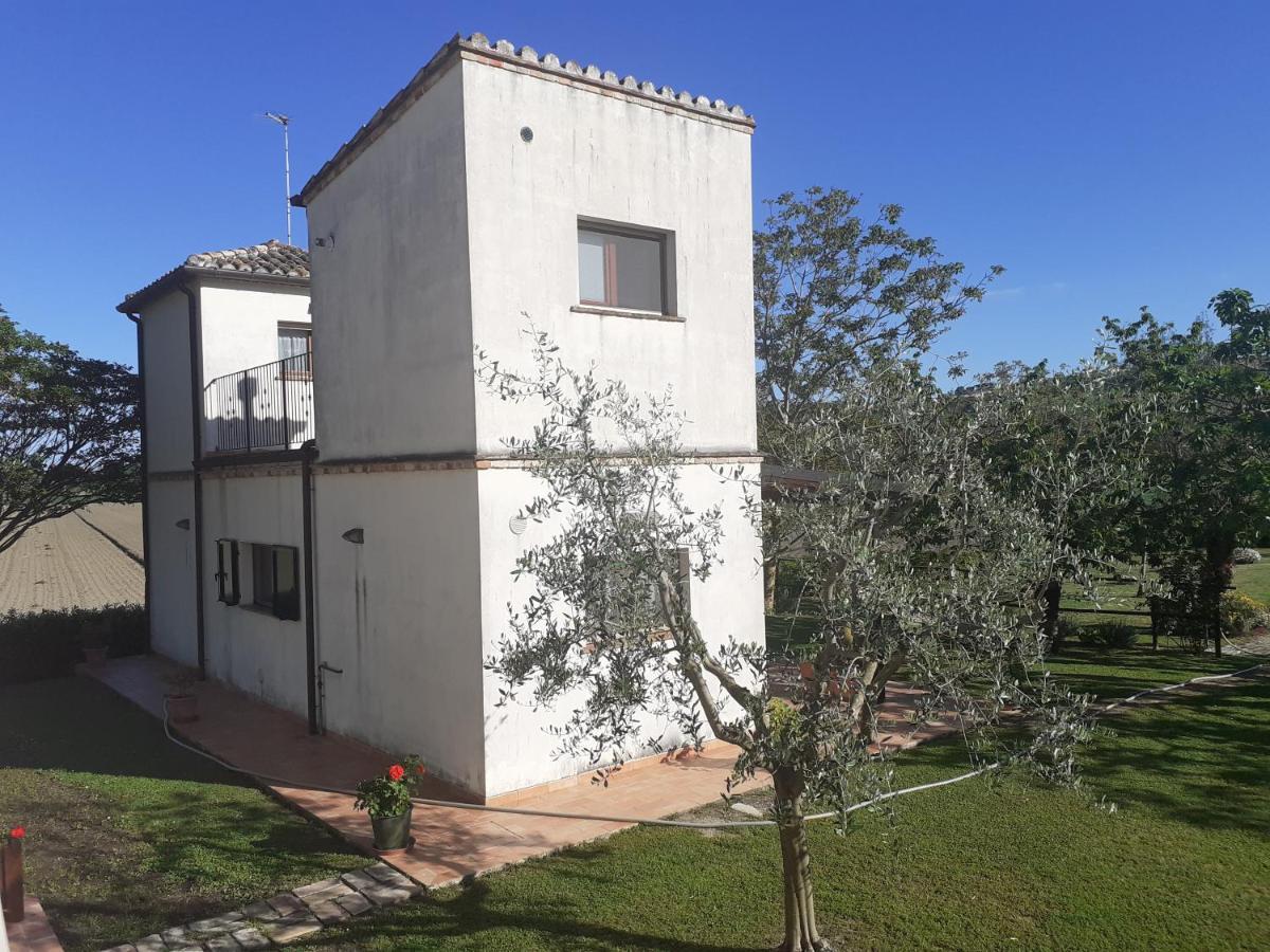 Silos Torrenova Potenza Picena Kültér fotó