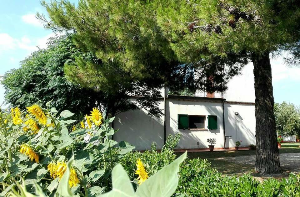 Silos Torrenova Potenza Picena Kültér fotó